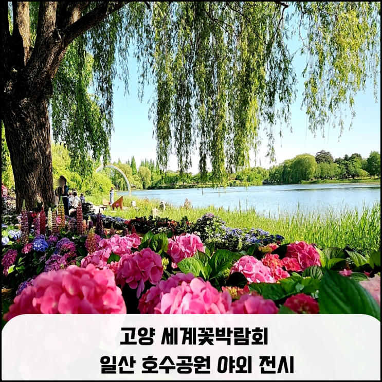  고양 세계꽃박람회 일산호수공원 야외전시, 주차 정보