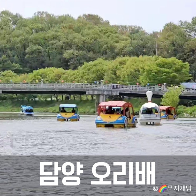  담양 오리배 국수거리 전동보트 페달보트