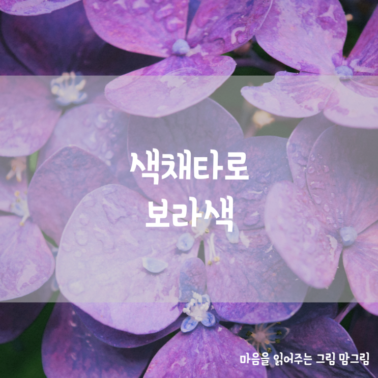  색채타로 보라색(바이올렛) 컬러 타로 카드 배우기