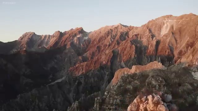  반려동물종합관리사 , 반려동물관리사 자격증 독학으로 합격 후기 확인해보세요