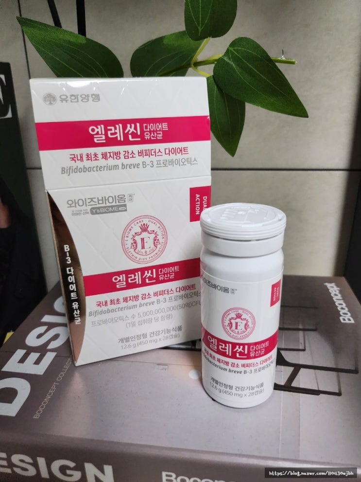  다이어트 유산균 추천 : 엘레씬 다이어트 유산균 비피더스 유산균