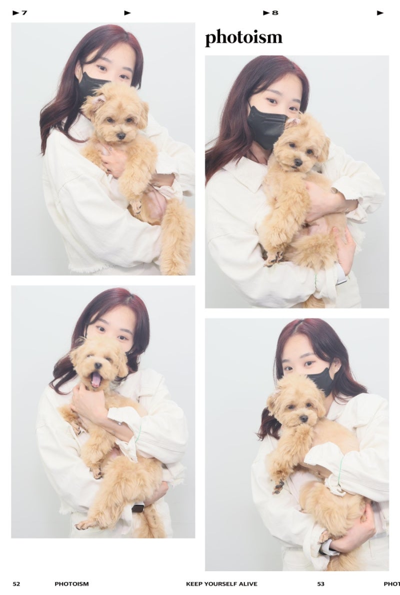 사진 7