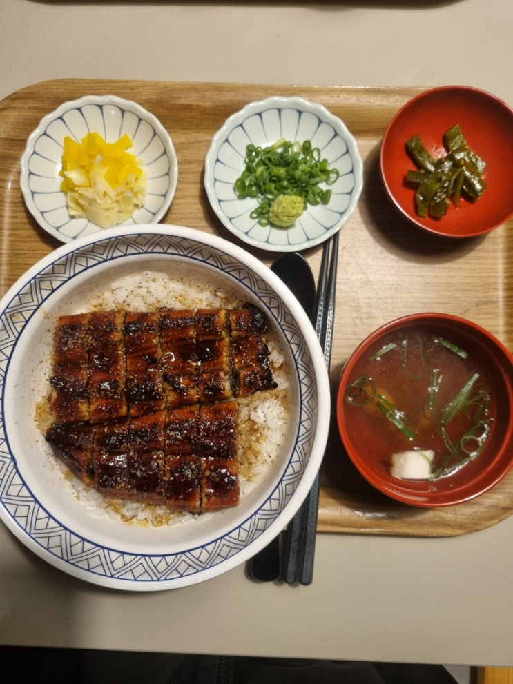  울산 남구 달동 장어 덮밥 맛집 고고우나동