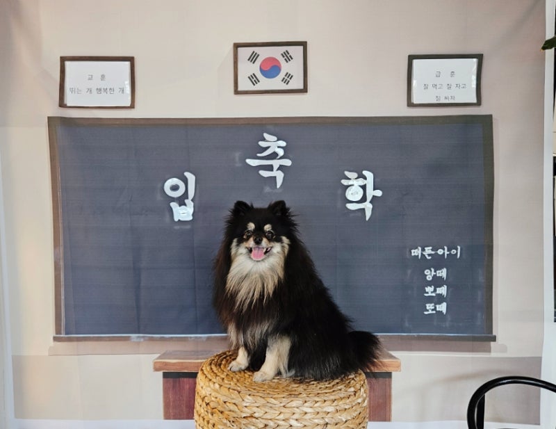 사진 6