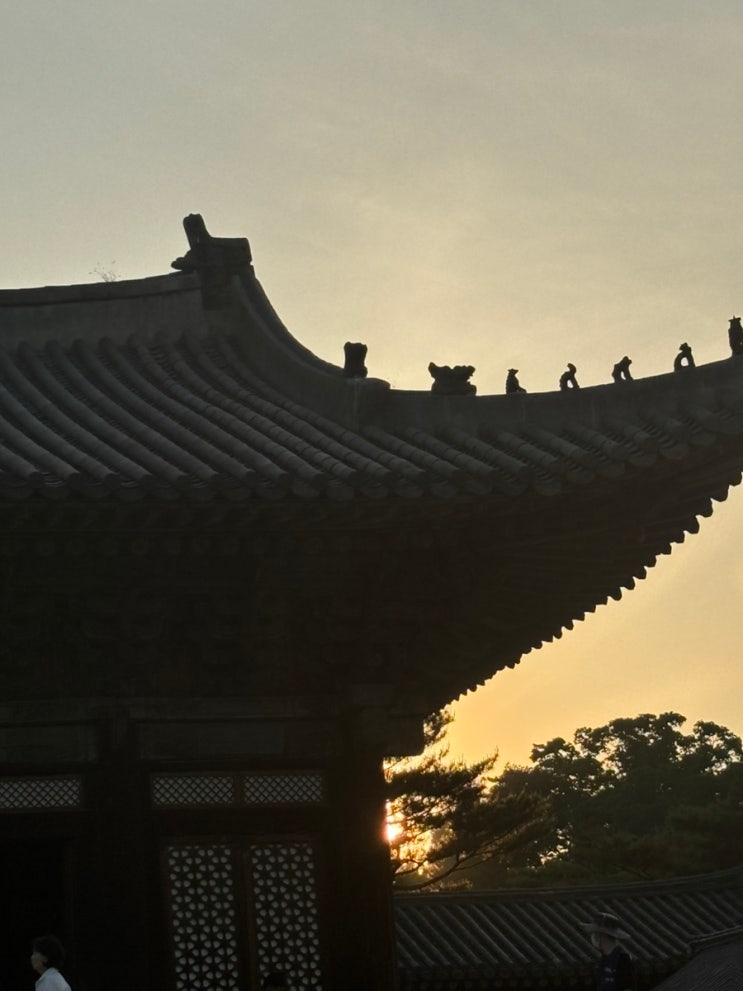  2024년 5월 4일 (토) 창경궁