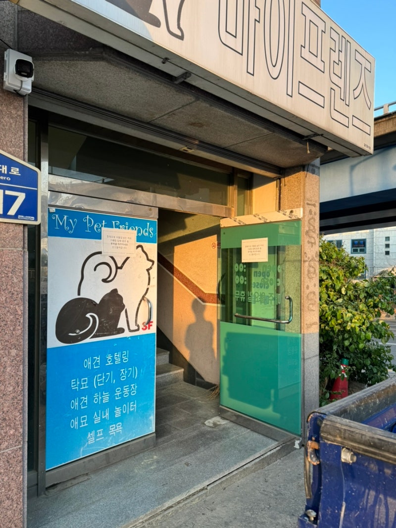 사진 5