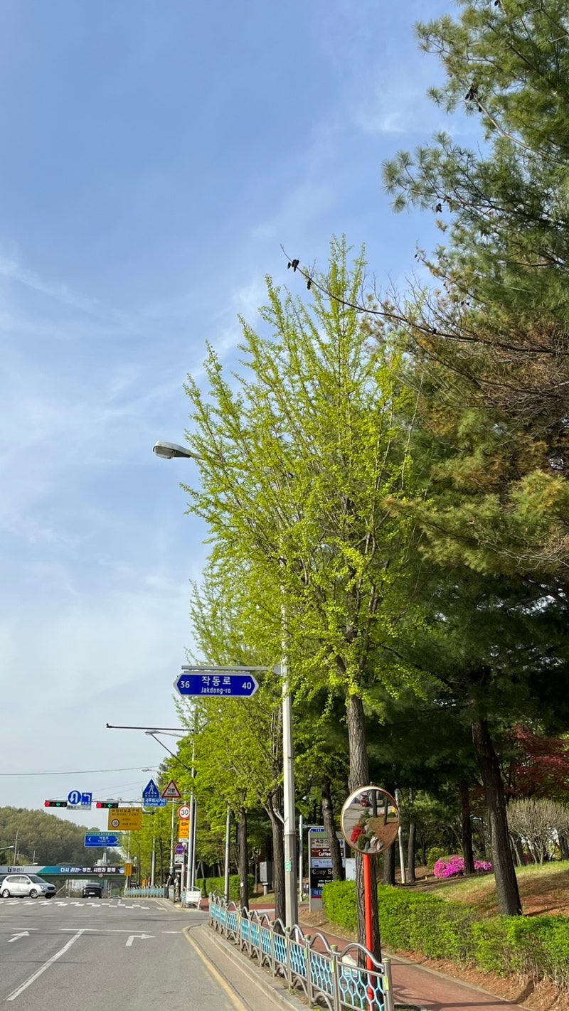 4월 블로그 제출합니다_최종_최최종_진짜최종 : 네이버 블로그