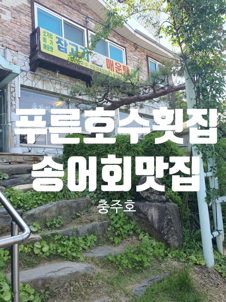  송어회 맛집 충주호 횟집 푸른호수