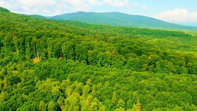  아동발달전문지도사 자격증 , 아동발달전문지도사 자격증 온라인으로 시험준비 , 구직정보