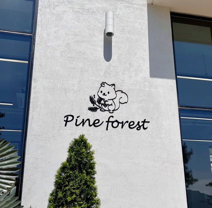 울산 상북 언양 산속뷰 중형 신상카페 파인포레스트 Pine forest