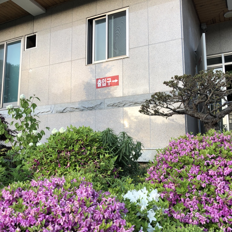 안막골 사진 3