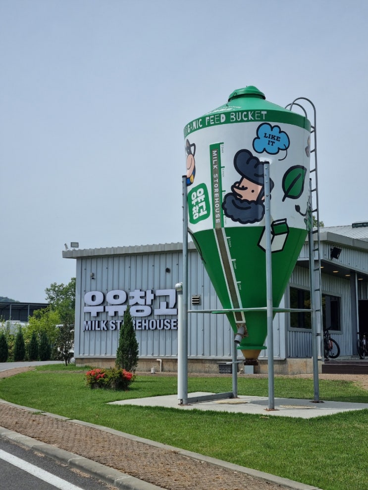  충남 보령 여행 코스 맛있는 빵과 인생샷까지 건지는 카페 [우유창고]