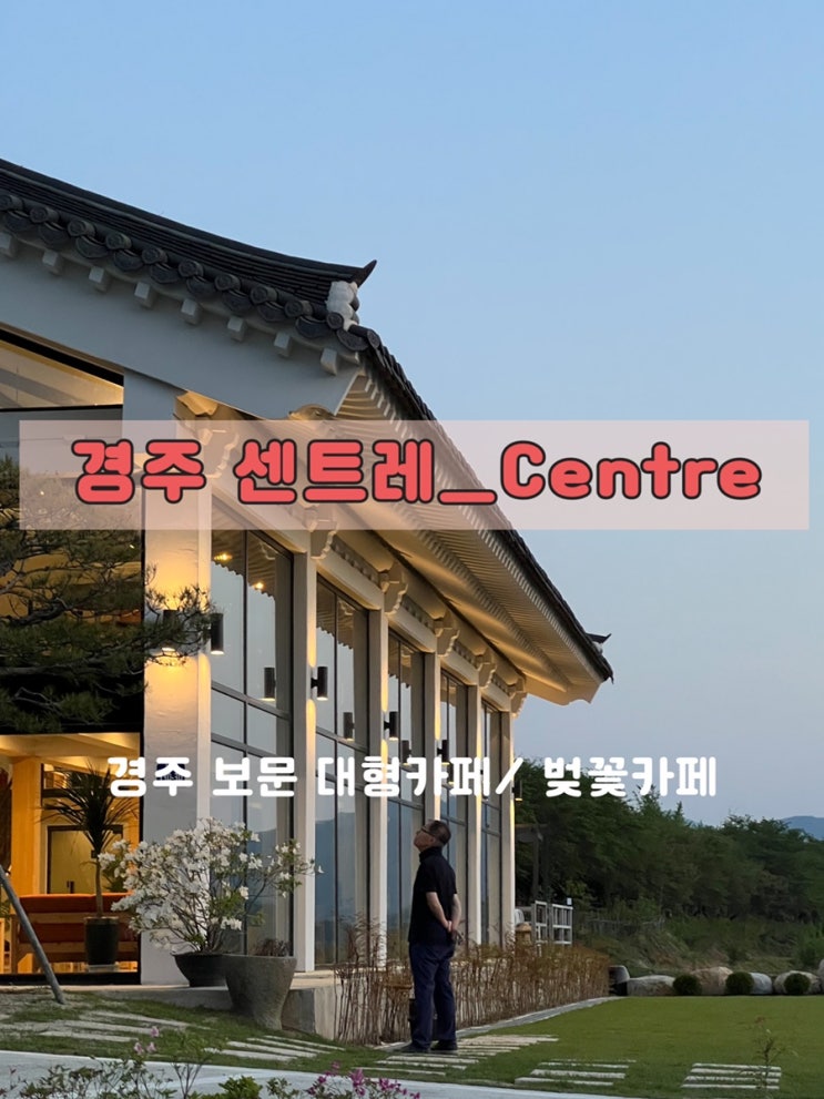 경주 카페 센트레: 보문단지카페 벚꽃카페 경주대형카페