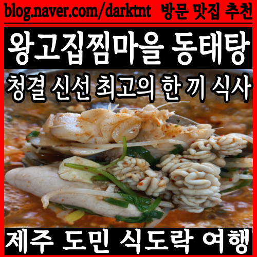 오늘 점심 제주 동태탕, 저녁 순살 아구찜 어때요? 아님 낙지볶음 제주시 왕고집찜마을동태탕 추천