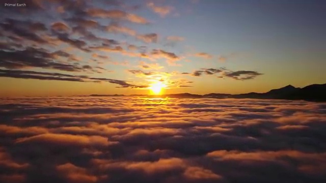  보석디자인산업기사 응시조건 집에서 온라인으로 1학기 만에 준비한 전략