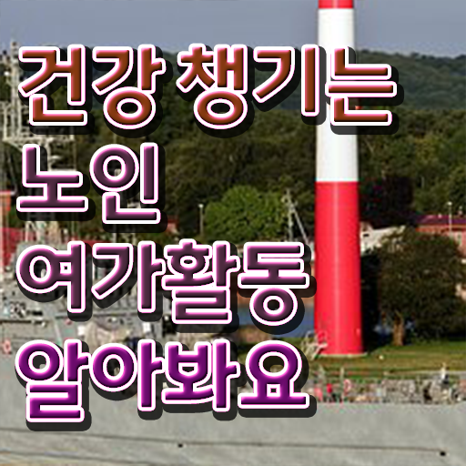  노인여가지도사 , 노인여가활동지도사자격증 비용없이 온라인으로 합격한 후기