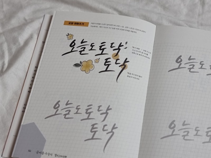 캘리그라피 독학으로 연습하기