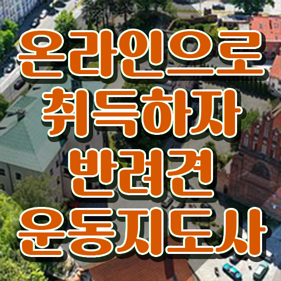  동물보건사 연봉 반려견운동지도사자격증 취득한 노하우 , 취업
