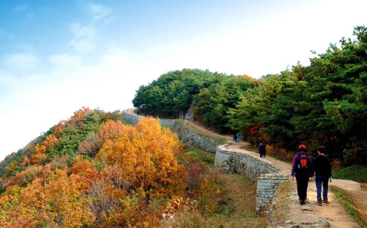  청주 1박2일 가족여행 일정 총정리