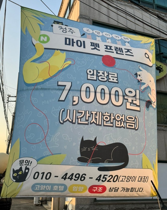 사진 4
