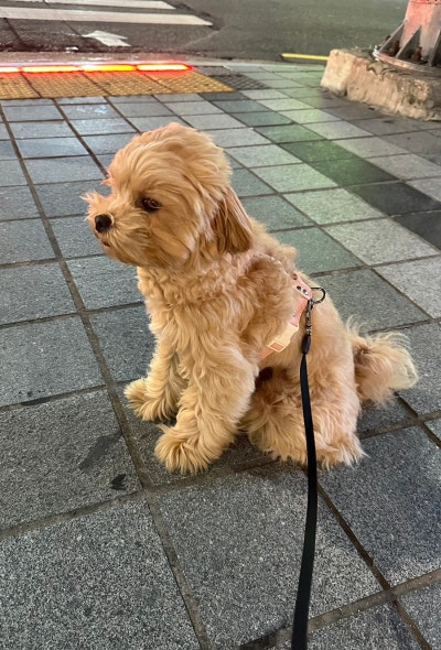 사진 8
