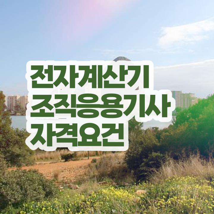  전자계산기조직응용기사 시험 과목 전자계산기조직응용기사 자격요건 온라인으로 4달만에 완료한 방법