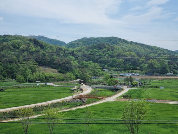  대전 계족산 장동산림욕장 근처 청보리밭 뷰 카페 [루나커피]