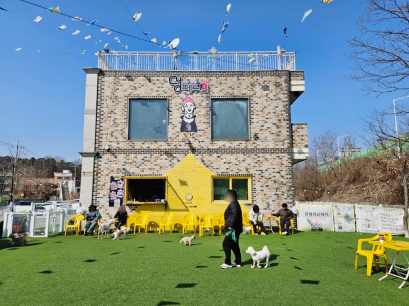 사진 7