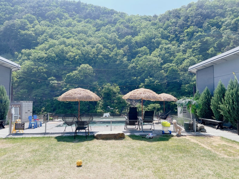 사진 7