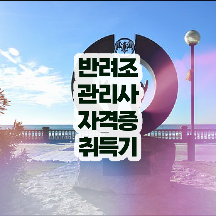  사랑앵무 수명 , 반려조관리사 자격증 합격정보 콕콕 짚어드립니다