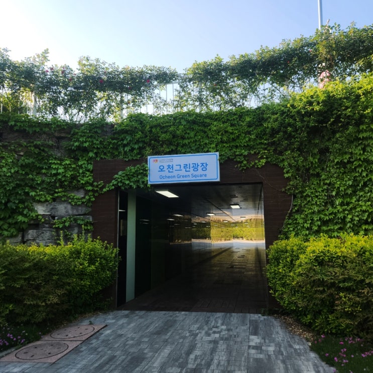  이제야 올리는 순천만국가정원