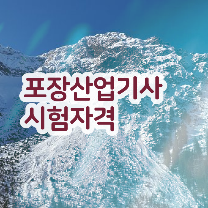  포장산업기사 준비기간 포장산업기사 응시조건 집에서 온라인으로 4개월 만에 완료한 방법