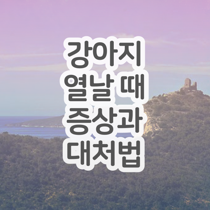  , 반려동물관리사 자격증 쉽고 간편하게 취득한 과정 및 취업정보