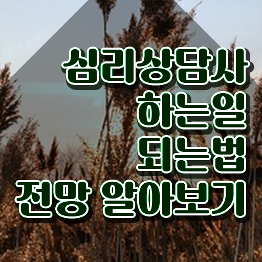  심리상담가자격증 , 심리상담사 자격증 단기간에 합격 전략 필수 정보
