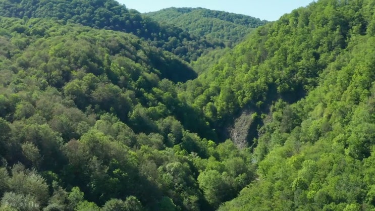  사주 음양오행 궁합 비용없이 온라인으로 명리심리상담사자격증 합격한 후기 총 정리