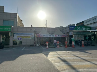 사진 6