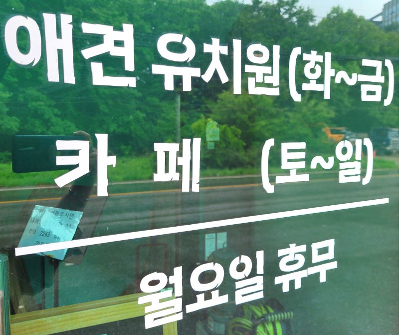 사진 3