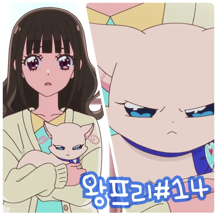  원더풀 프리큐어 14화 고양이 유키 아파요, 15화 예고