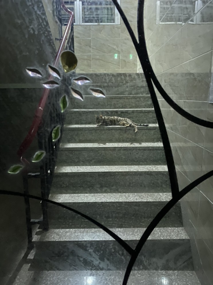  간택