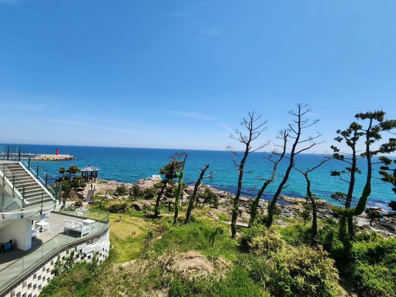 사진 11