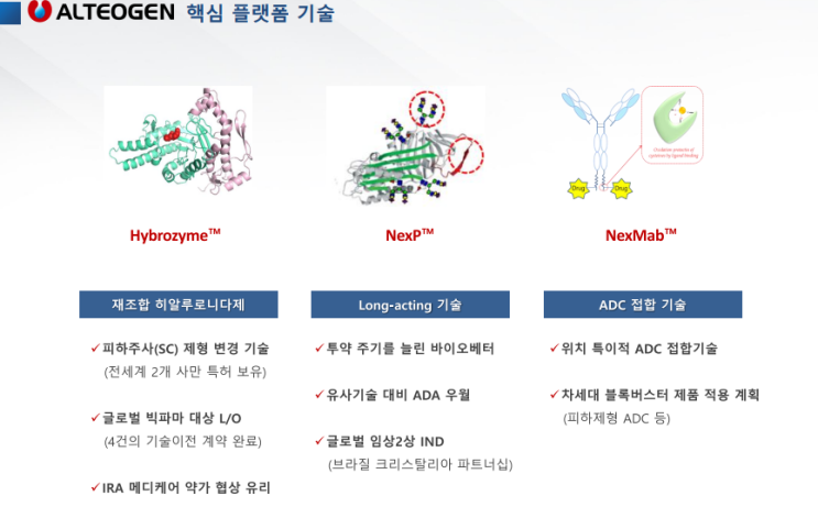  알테오젠 기업분석 및 주가 전망