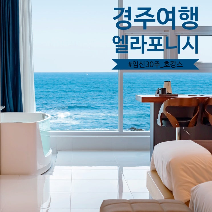  [태교여행] 경주 수영장숙소 경주 엘라포니시 직거래예약 여행 다녀왔어요