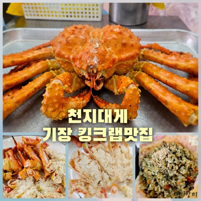 기장대게맛집 내돈내산 리얼후기 [천지대게] : 네이버 블로그