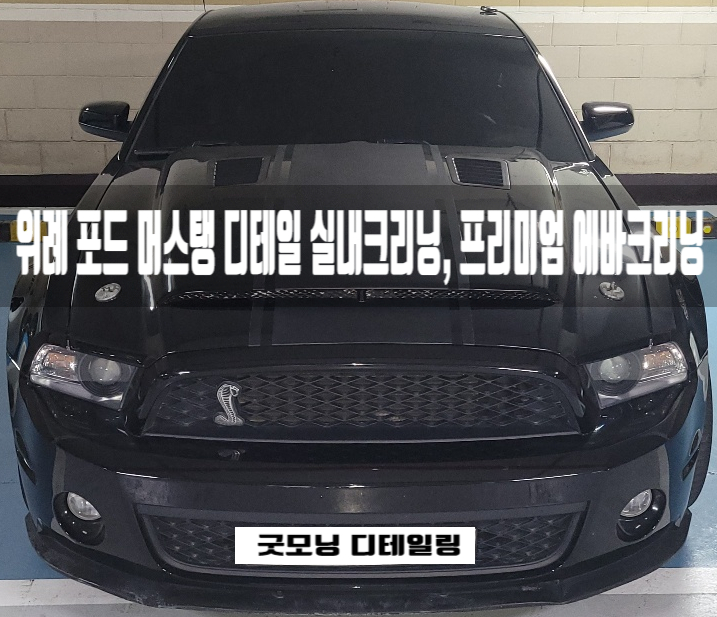  머스탱 에바크리닝 중고차 실내클리닝 위례 차량 에어컨 악취제거