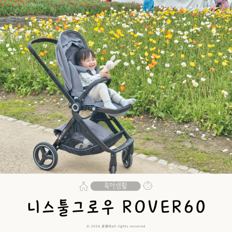  가성비 절충형유모차 니스툴그로우 rover60 사용 후기