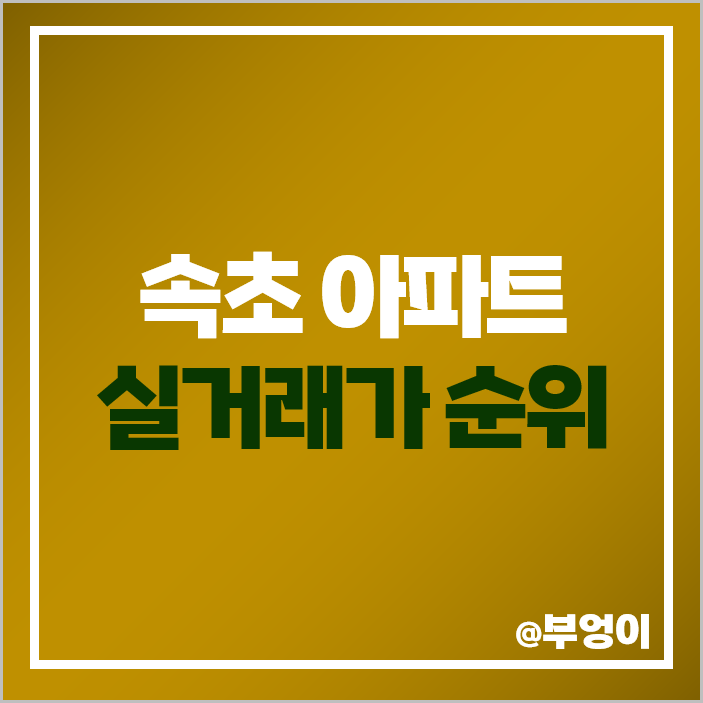 속초 아파트 매매 가격 순위 속초디오션자이 속초자이 e편한세상영랑호 아이파크 시세 속초 아파트 매매 가격 순위 속초디오션자이 속초자이 e편한세상영랑호 아이파크 시세