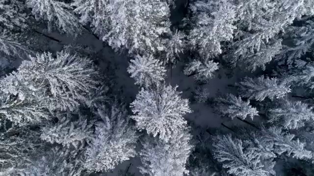  사회복지교육원실습 사회복지사 관련학위 없어도 학은제로 간단하게