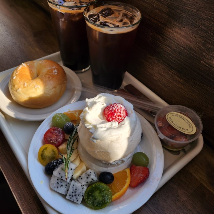  원주 포니 몽키 하우스 디저트 맛집 후기, 원주 디저트 맛집, 파블로바 맛집 후기, 원주 가볼만한 곳 원주 무실동 카페 내돈내산 후기