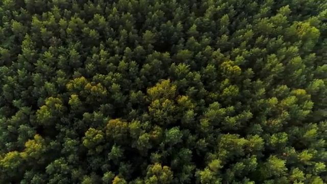  학점은행제사회복지사2급자격증 사회복지사 고졸자도 학점은행제 인강으로 손쉽게