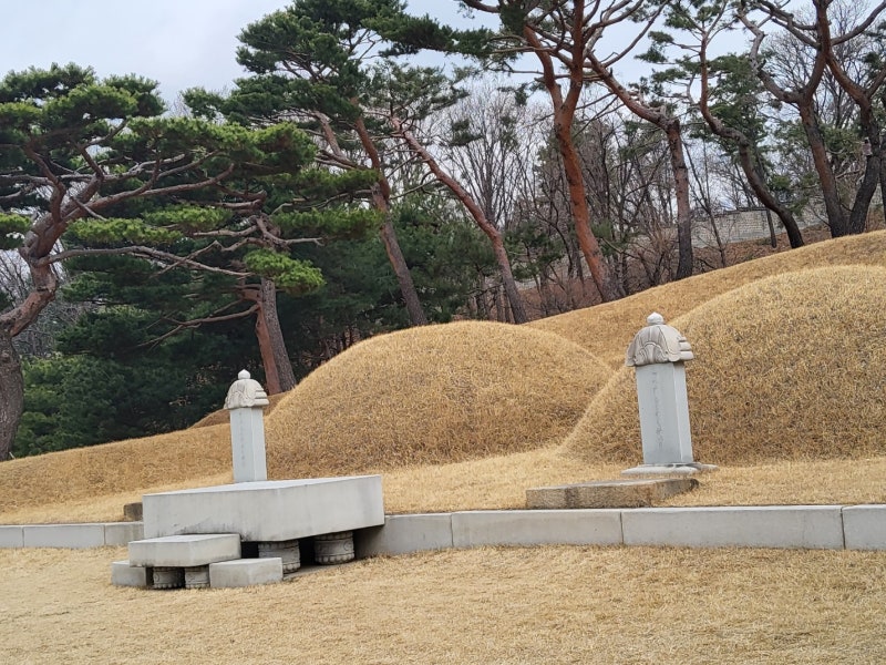 (꿈해몽) 무덤(묘지)에 관한 꿈